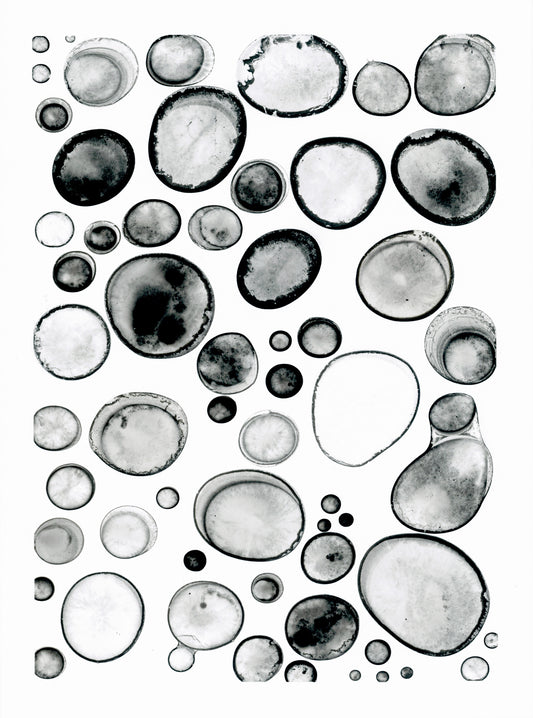 Foundation