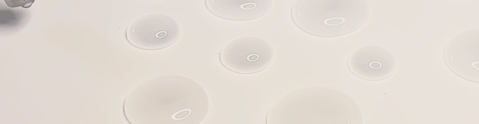 Load video: Esoterra Art | Alisha Taweel Artist